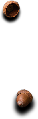 Akshaya Catering - Catering Vegetarian Food stuffs and dishes.